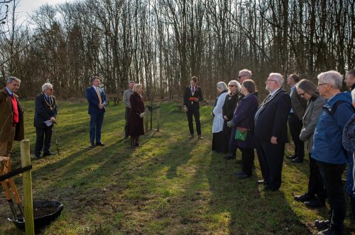 COVID-19 Day of Reflection 2025